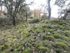 UPL pregunta en las Cortes sobre la catalogación de los castros de Gema y Picones