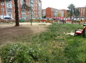 UPL apuesta por una mayor atención a los parques y jardines de la ciudad
