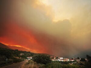 UPL exige a la Junta mayor implicación para la prevención de incendios forestales.