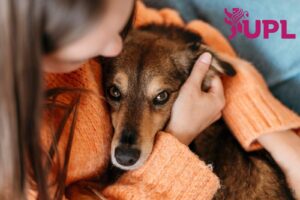 UPL propone la creación de un cementerio público para animales de compañía en Salamanca