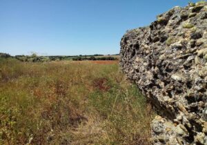 PP y VOX bloquean la petición de UPL de acometer la excavación del castillo de Lagunas Rubias, en Aldeanueva de Figueroa