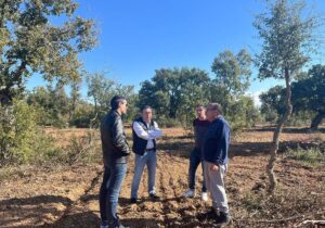 Las Cortes aprueban la petición de UPL para que la Junta colabore en la conservación del alcornocal de Valdelosa y finalice el Centro de Interpretación