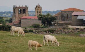 UPL pide que no se ratifique el acuerdo con Mercosur por perjudicar a nuestros agricultores y ganaderos