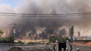 UPL pide a Junta y Gobierno movilizar todos los medios necesarios, centrarse en sofocar los incendios y aparcar las riñas políticas e intereses partidistas.