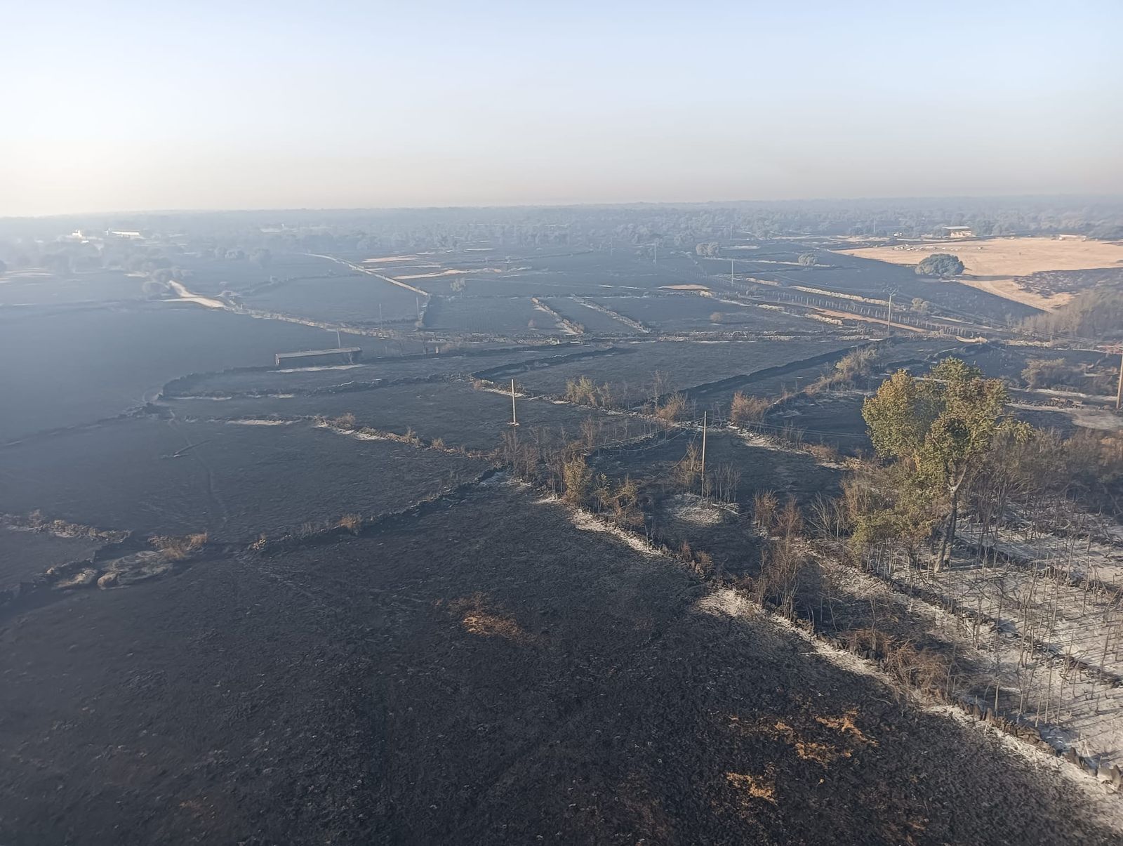 UPL exige al Gobierno declarar el área afectada por el incendio de Cipérez como “zona catastrófica”.