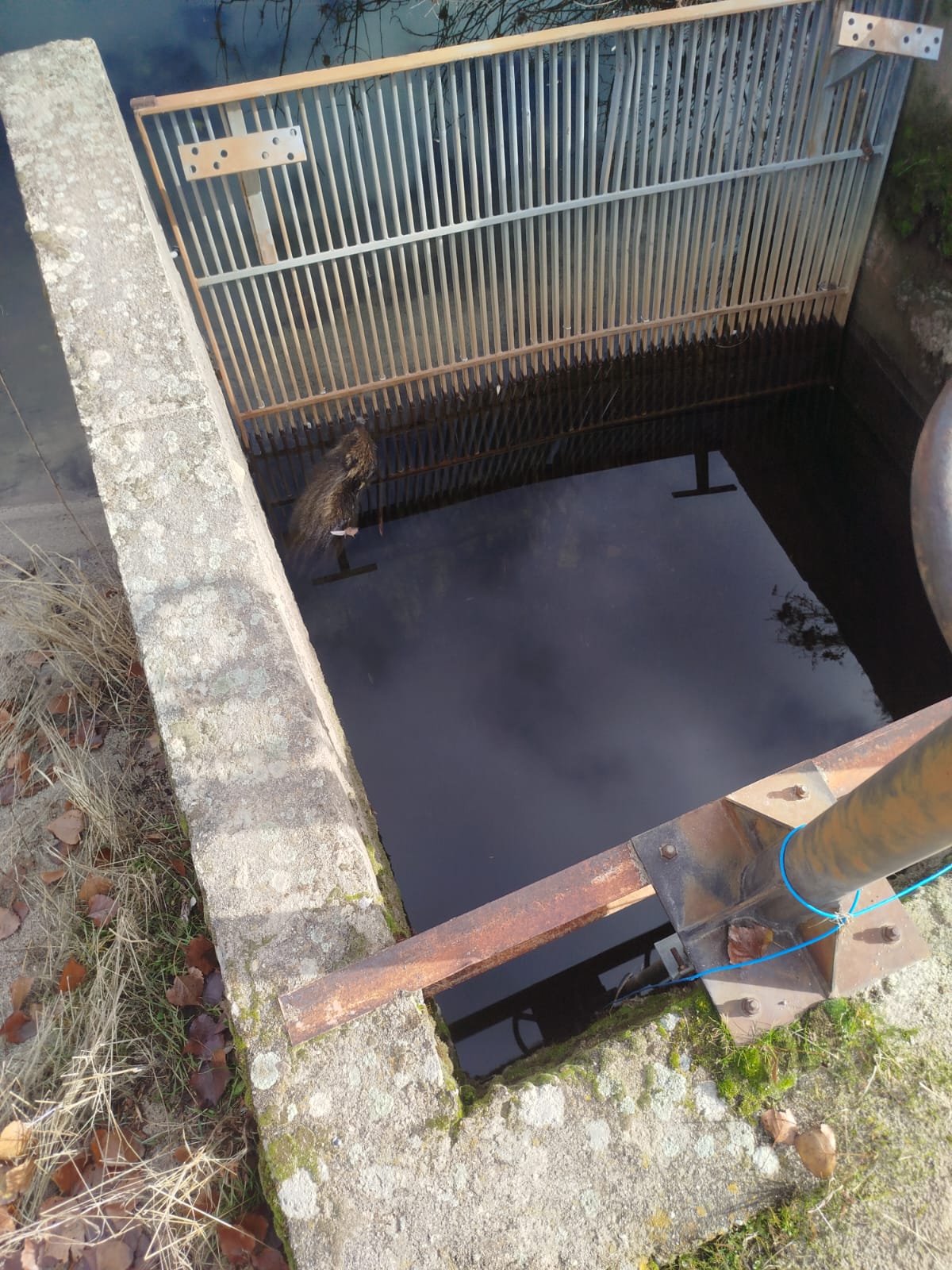 UPL alerta en El Tejado de una cadena de negligencias en el agua del municipio con ocultación de análisis desfavorables y riesgos sanitarios