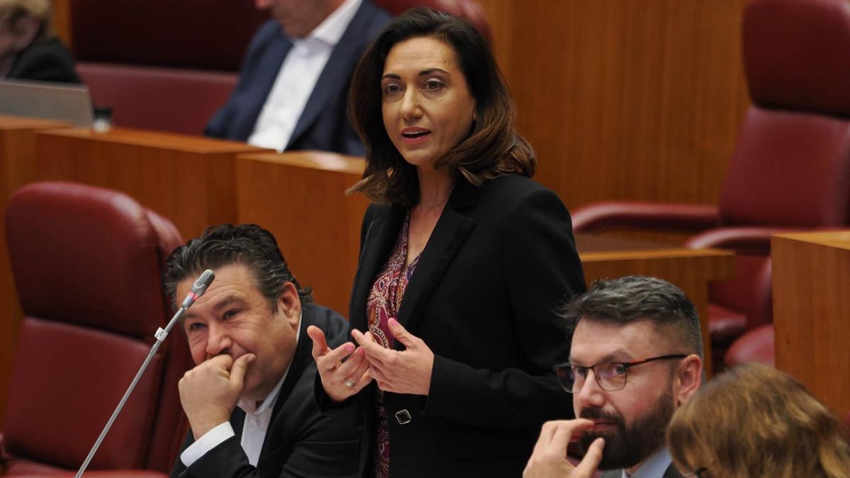 UPL denuncia en las Cortes la “negligente” gestión de la Junta en materia de incendios y lamenta que el PP pretenda librarle de responsabilidad